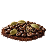 Kweider Signature Arabic Coffee Syrian Damascene coffee blend