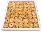 Premium Pistachio Shortbread ('Ghraybeh) - Kweider Sweets